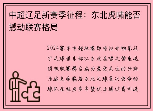 中超辽足新赛季征程：东北虎啸能否撼动联赛格局